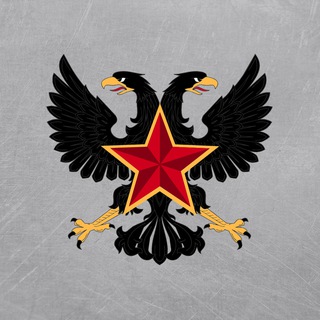 Логотип @nov_ros - Новая Россия