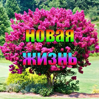 Логотип @novaya_zhizn_1 - Новая Жизнь