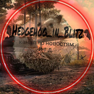 Логотип @novikandsasha - 🦔Hedgehog_in_Blitz🦔