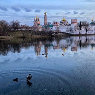 Логотип @novodevdaybyday - Новодевичий день за днем