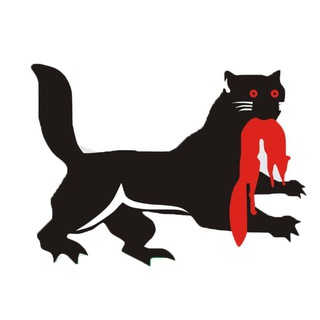 Логотип @novosti_irkutsk - Новости Иркутска