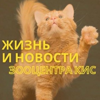 Логотип @novosti_kis - Жизнь Зооцентра КиС🦮🐈