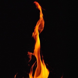 Логотип @novosti_online_24 - Новости 🔥Россия и СНГ 🔥