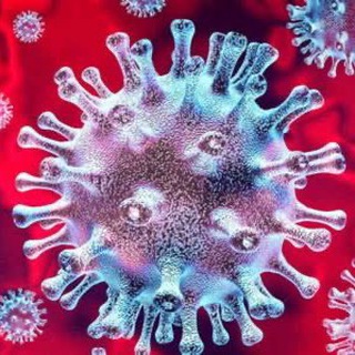 Логотип @novosti_rostov_na_donu - COVID19 Ростов-на-Дону и Ростовская область