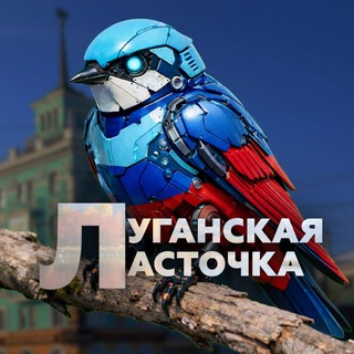 Логотип @novostichupa777 - Луганская Ласточка🕊