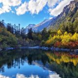 Логотип @novostiotvseh - Новости от всех