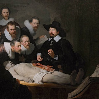 Логотип @novostisek - Новости секции