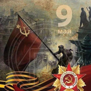 Логотип @novostisvo11 - НОВОСТИ СВО24 🗞