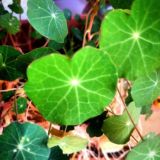 Логотип @novostnoyblog - Новости дня