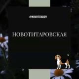 Логотип @novotitarov - Новотитаровская Станица Краснодар Знакомства Чат Общение Познакомиться Нетворкинг Клуб Эмоция Группа Барахолка Реклама Объявлени