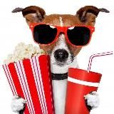 Логотип @novvf - novvf