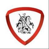 Логотип @npa_biz - Штаб по защите бизнеса