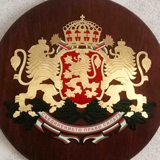 Логотип @npzbg - Нов път за България