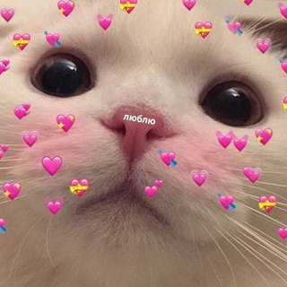 Логотип @nraaavishsya - ты мне нравишься