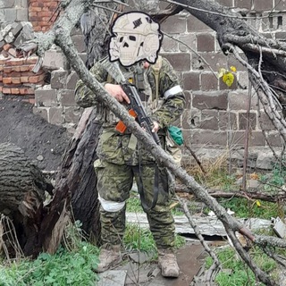 Логотип @ns_svo - NSvo