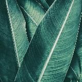 Логотип @nsfwmen - NSFW