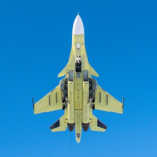 Логотип @nskplanes - NskPlanes