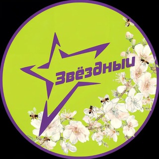 Логотип @nskstars - МЦ ЗвЁздный