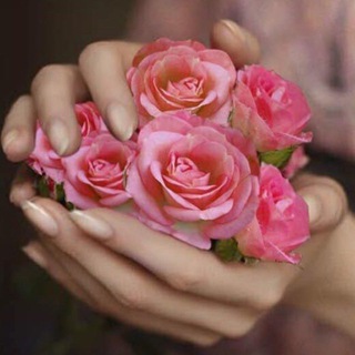 Логотип @nsminf - Nasim.infinity