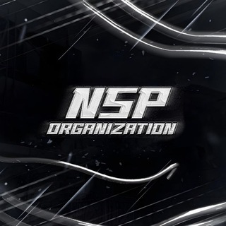 Логотип @nspn1wrld - NSP ORGANIZATION