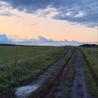 Логотип @nt_vibe - Я люблю свою страну