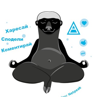 Логотип @ntpbgchat - Netpeak Bulgaria Telegram Channel Chat Room
