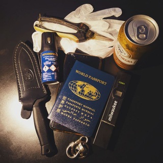 Логотип @nudevoice - Паспорт и телефон