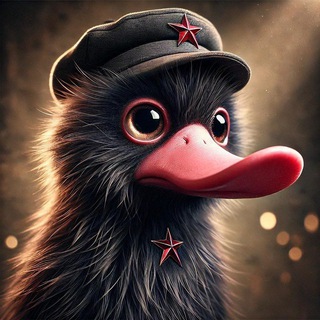 Логотип @nuhle - Товарищ Нюхль