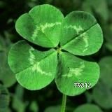 Логотип @numerolog1779 - НУМЕРОЛОГИЯ❤️💰👶🌞