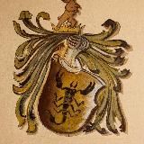 Логотип @numerolog_astrolog_taro - Астрология • Нумерология • Таро