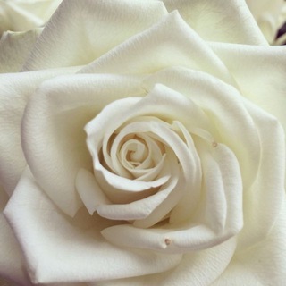 Логотип @nuradamur - Nura da Mur