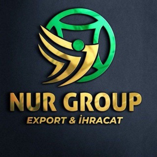 Логотип @nurgrouppro - Nur Group Pro