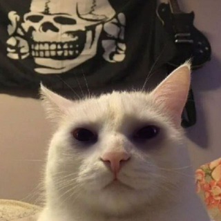 Логотип @nurofen1337 - .7.7.7_<{$!L3N$€R}>_1.3.3.7~