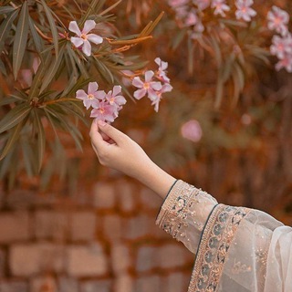 Логотип @nurxonelmirzayeva - Нур