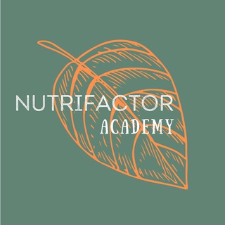Логотип @nutrifactor_academy - Nutrifactor Academy - Биохимия Здоровья