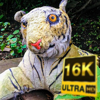 Логотип @nuzhdi11 - Ну жди Чат