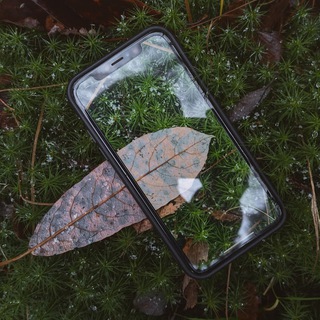 Логотип @nv_wallpaper - NV wallpaper