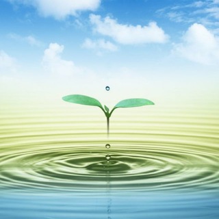 Логотип @nvc4peace - ННО для мира