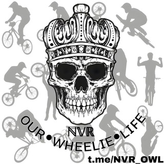 Логотип @nvr_owl - [ℕ𝕍ℝ] 𝗈𝗎𝗋•𝗐𝗁𝖾𝖾𝗅𝗂𝖾•𝗅𝗂𝖿𝖾