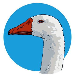 Логотип @nwIlE9-RYrBmOWNi - ГУСИНАЯ ФЕРМА