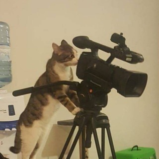 Логотип @nwsruvideo - NEWS.ru | Фото и видео