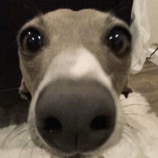 Логотип @nwxrmx - спам