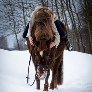 Логотип @nwxzs - 𝙚𝙦𝙪.𝙧𝙞𝙙𝙚𝙧.𝙝𝙤𝙧𝙨𝙚