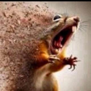 Логотип @nydavau - | Разговоры с Miss | АРХИВ