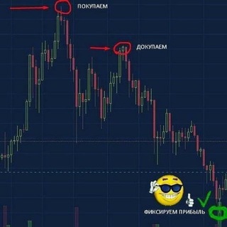 Логотип @nyti_kripto_investor - Путь крипто инвестора