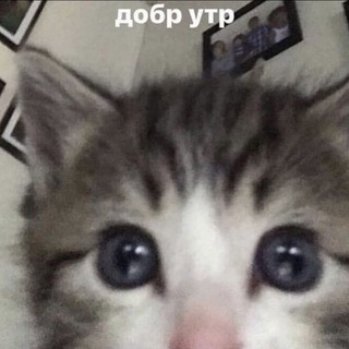 Логотип @nyyaaaaaaaaaaaaaaaaaa - ня