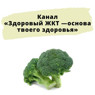 Логотип @o_gkt_usainova_alina - «Здоровый ЖКТ —основа твоего здоровья»