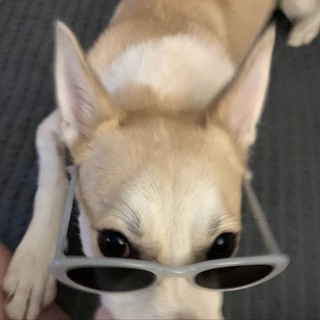 Логотип @oalkanda - это что алканда