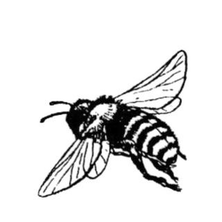 Логотип @oaoshabskl - дизайны под любые запросы