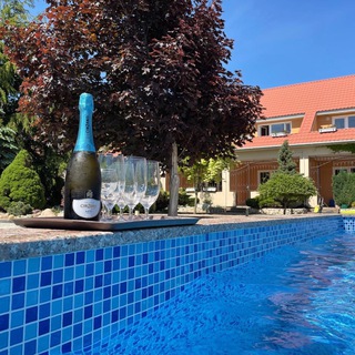 Логотип @oazis_crimea - Oazis Гостевой дом отель отдых в Новофедоровке Крым Новофедоровка